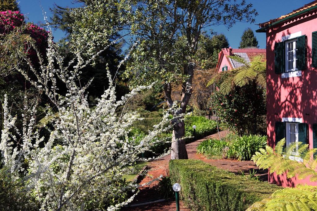 Quinta Santo Antonio Da Serra Dış mekan fotoğraf