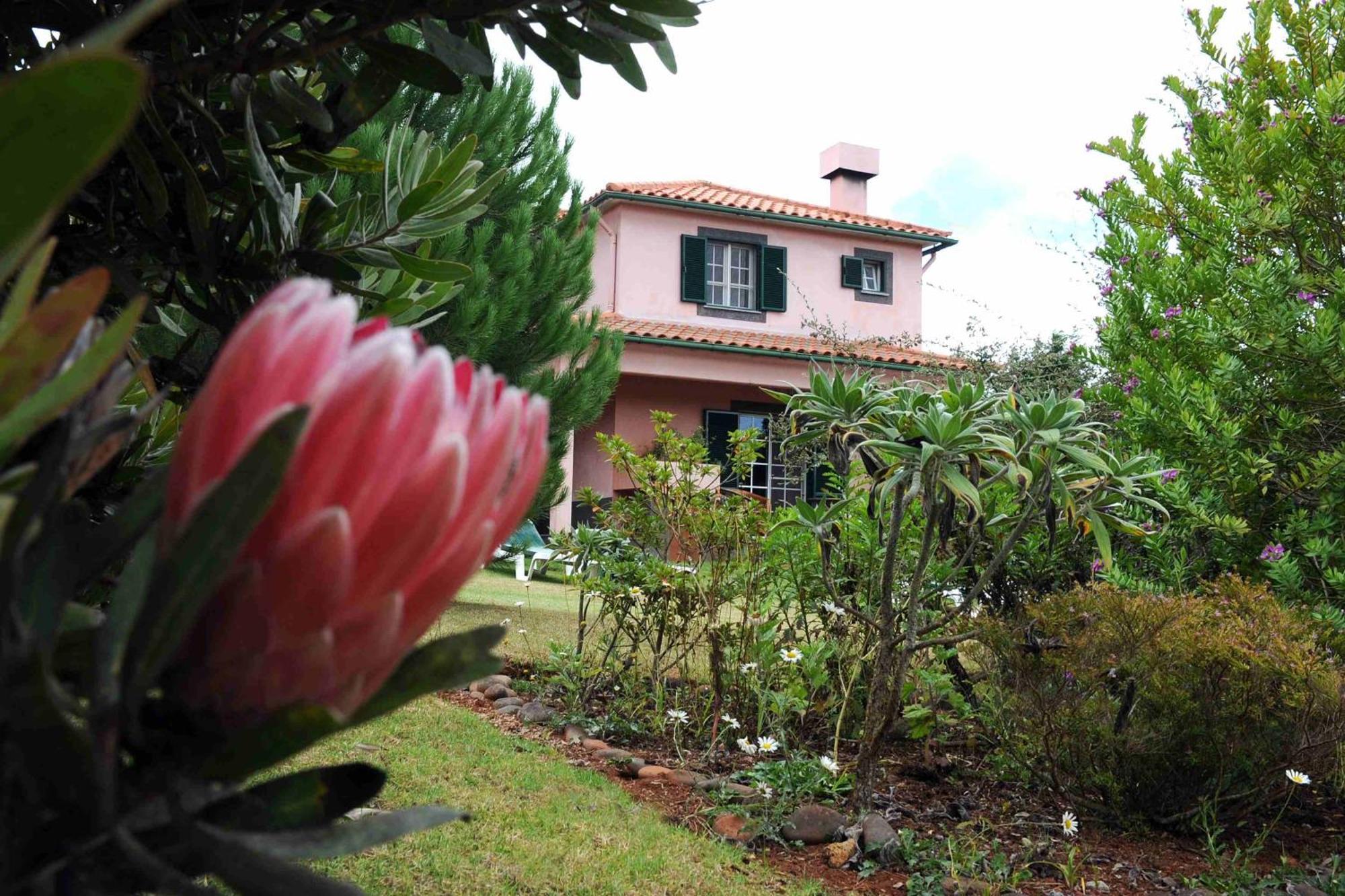 Quinta Santo Antonio Da Serra Dış mekan fotoğraf