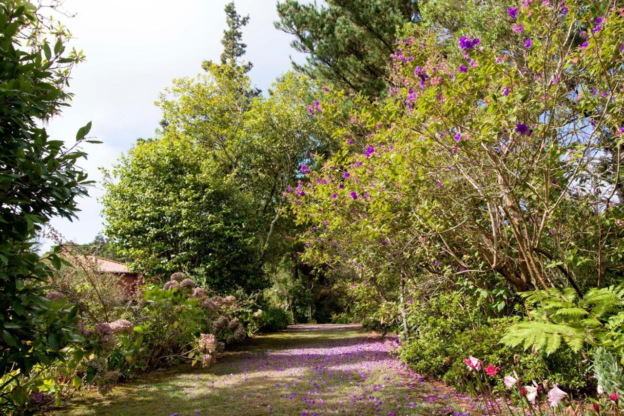 Quinta Santo Antonio Da Serra Dış mekan fotoğraf