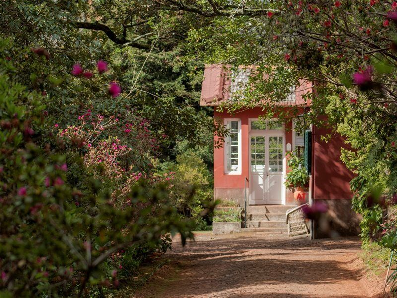 Quinta Santo Antonio Da Serra Dış mekan fotoğraf